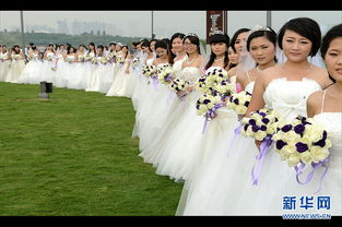 深圳50对社工举行集体婚礼